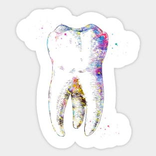 Human tooth Sticker